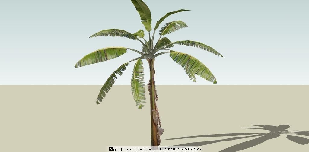 香蕉树_其他_3D设计_图行天下图库