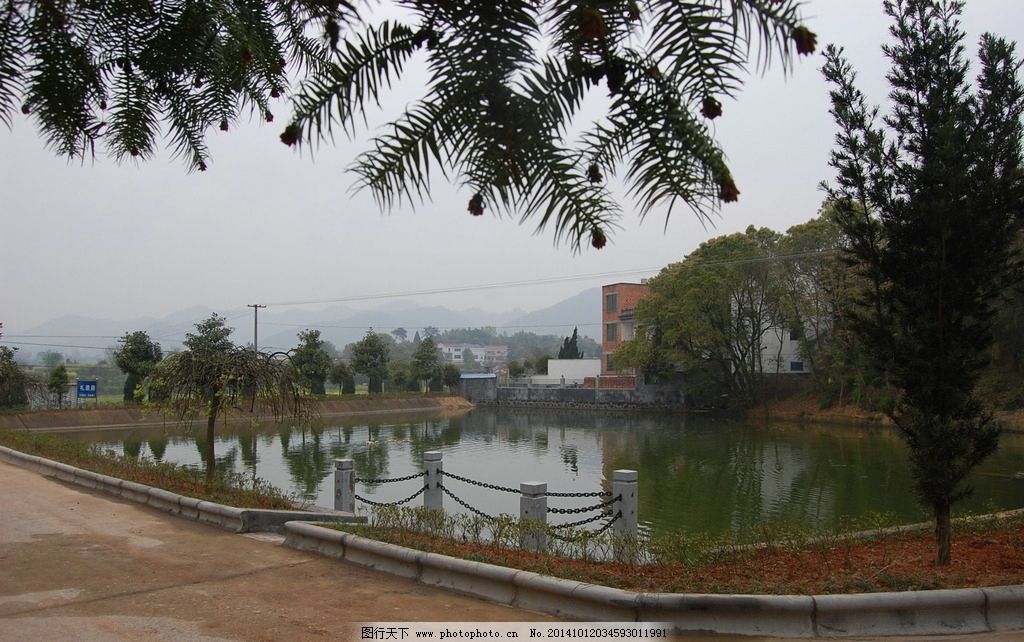 池塘图片