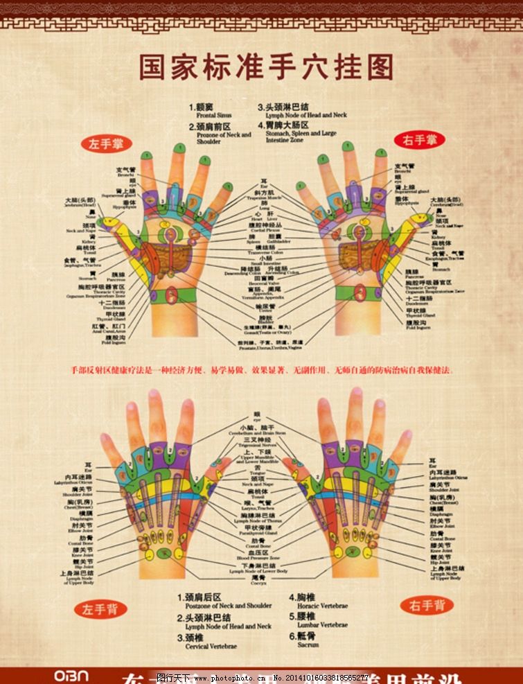 手部穴位挂图图片