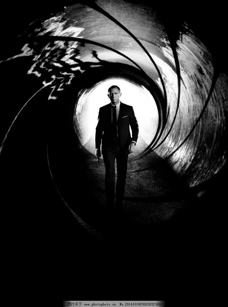 007:大破天幕杀机图片