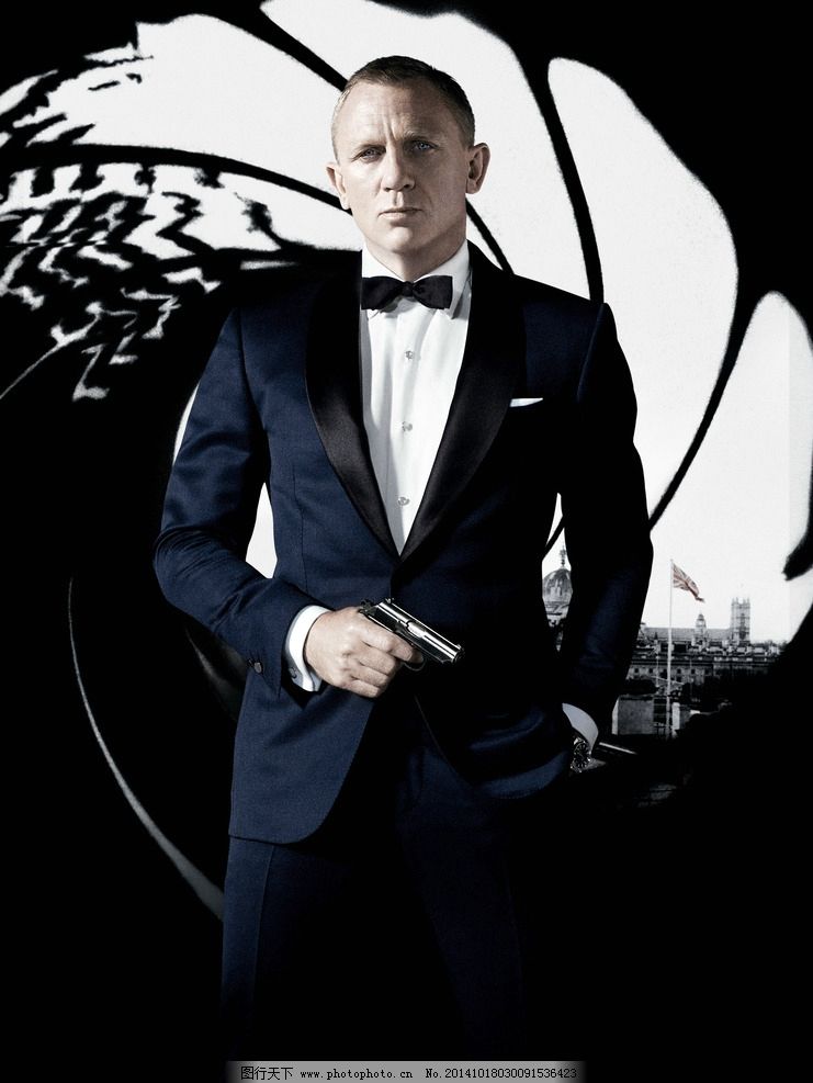 007:大破天幕杀机图片