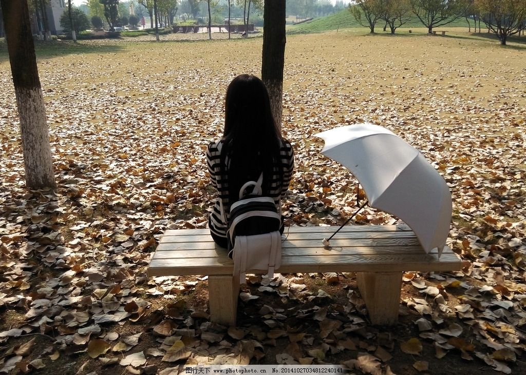 落叶 座椅 背影 伞 意境 孤独 秋天落叶 落叶满地 杨树叶 影子 黄色