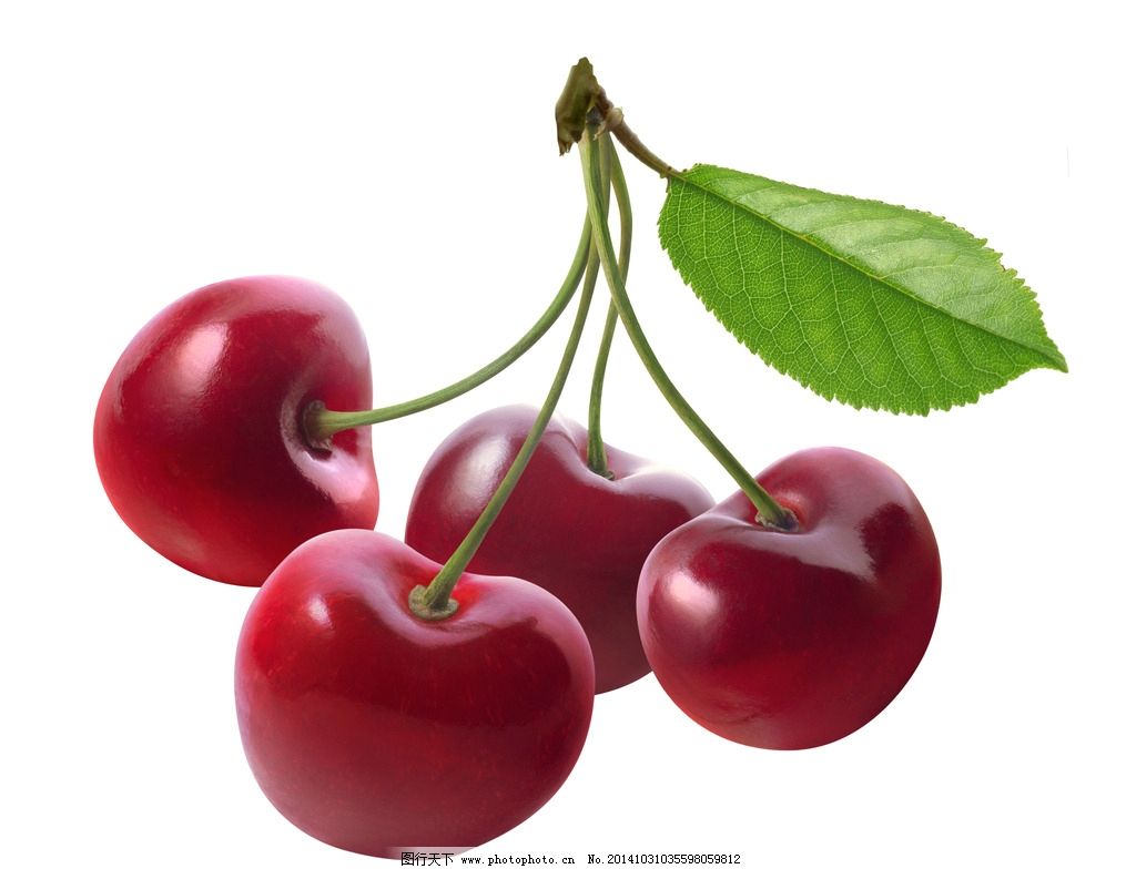 樱桃磁力搜索|蚂蚁磁力搜索|btbook 磁力搜索|磁力樱桃磁力搜索 - 主题家园