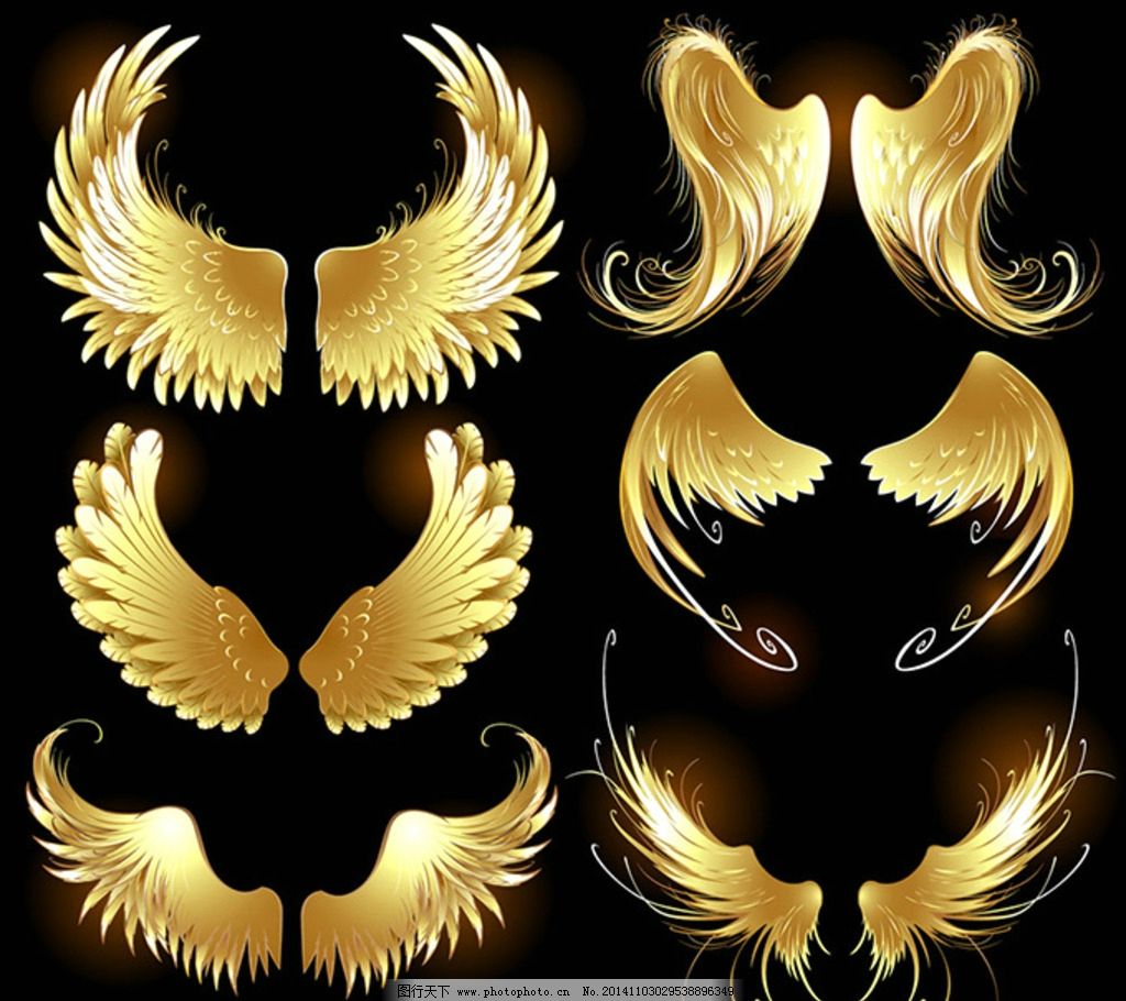 金色天使翅膀图片,翅膀矢量 天使的翅膀 梦幻翅