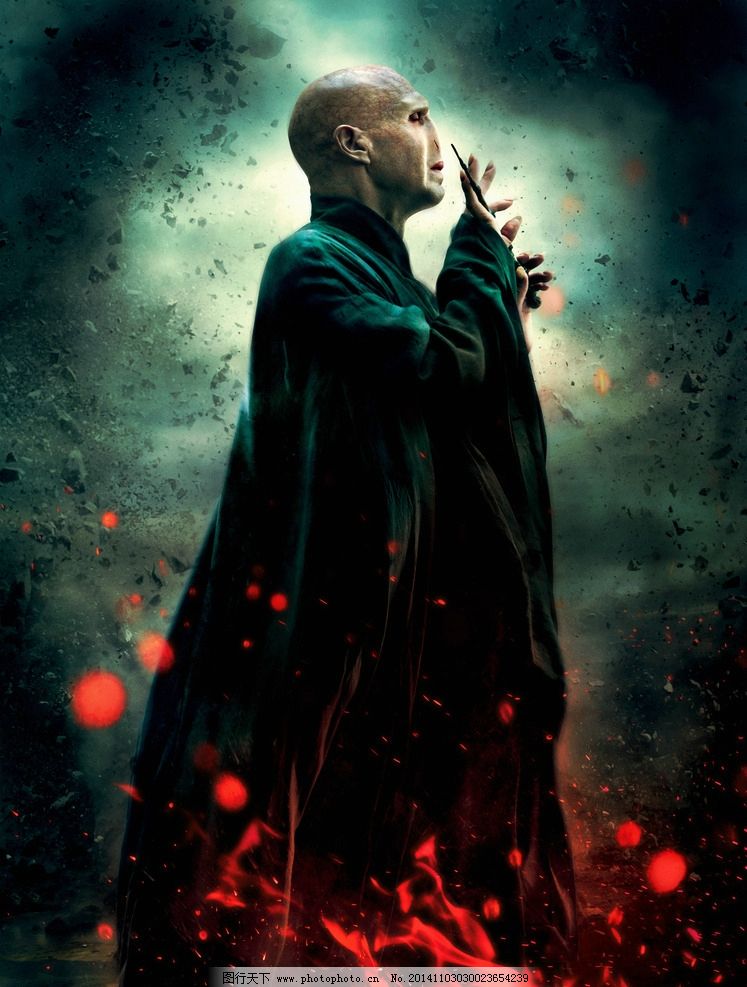 哈利·波特与死亡圣器图片