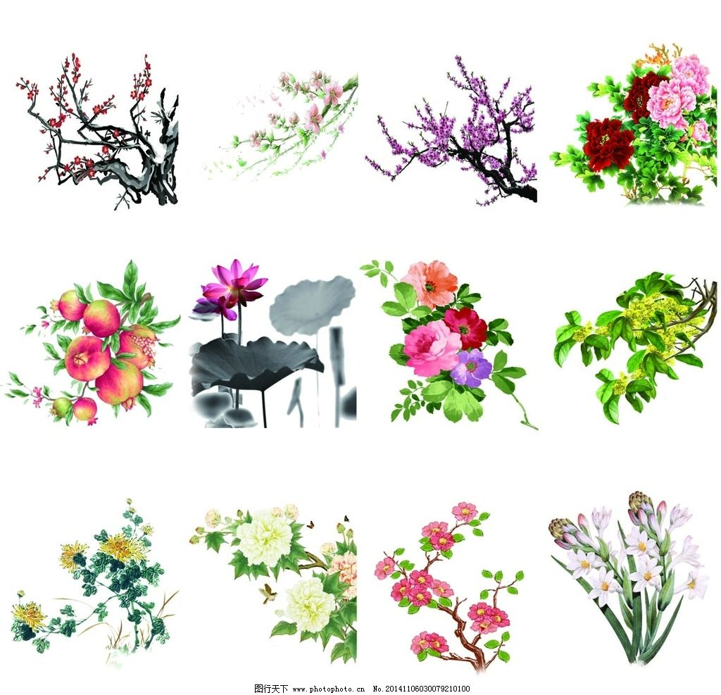 12个月份花图片