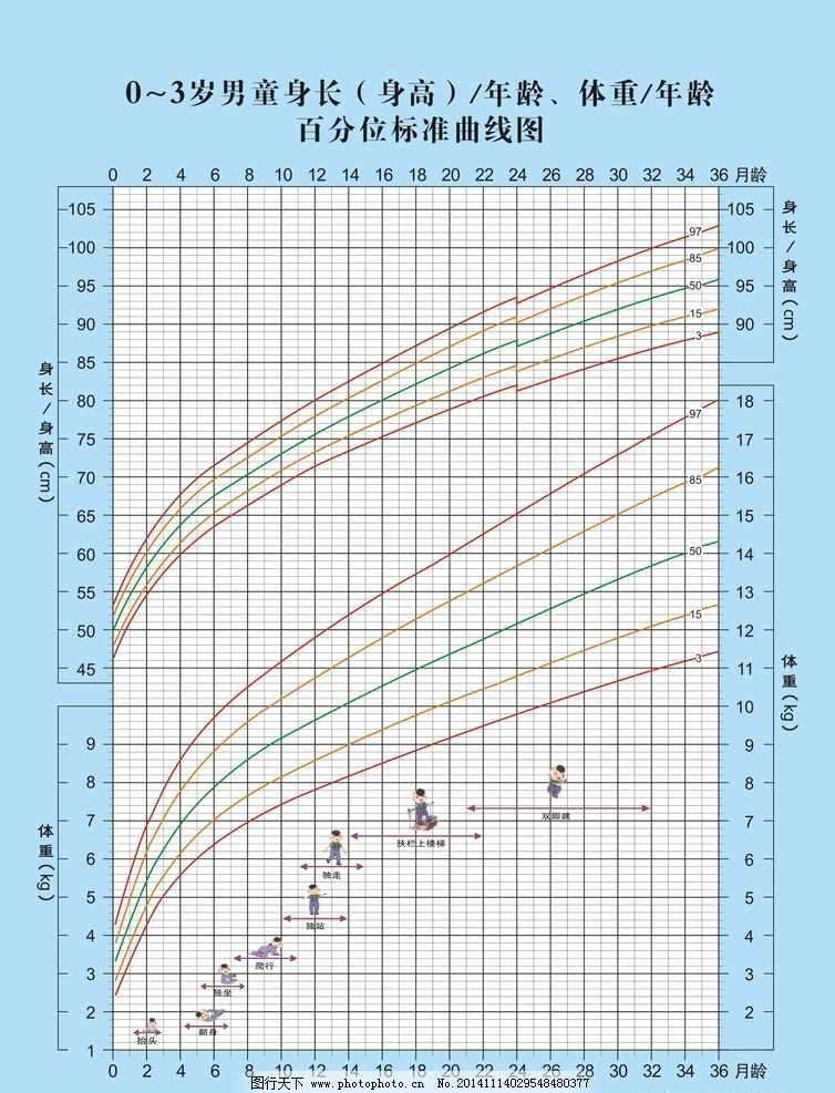 2006年WHO儿童生长标图片