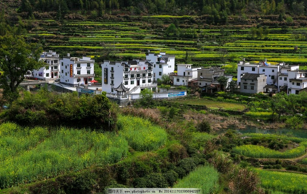 婺源 婺源油菜花 江岭 梯田 春天 乡村 村庄 田园风光 自然景观 旅游
