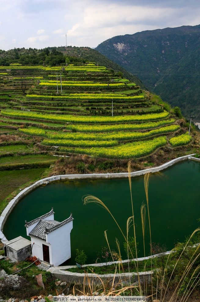 婺源 婺源油菜花 江岭 梯田 春天 乡村 村庄 田园风光 自然景观 旅游