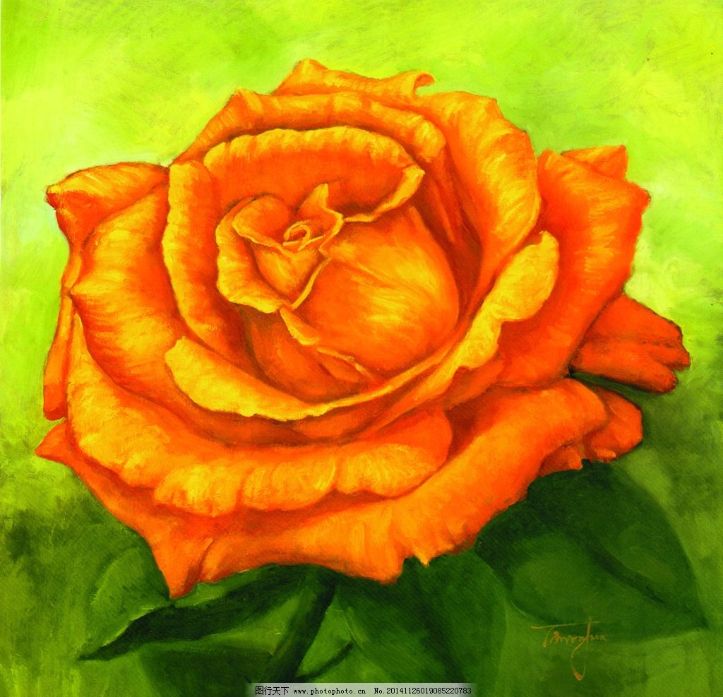 玫瑰花油画图片图片