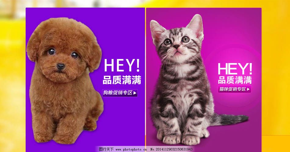 寵物海報免費下載 psd素材