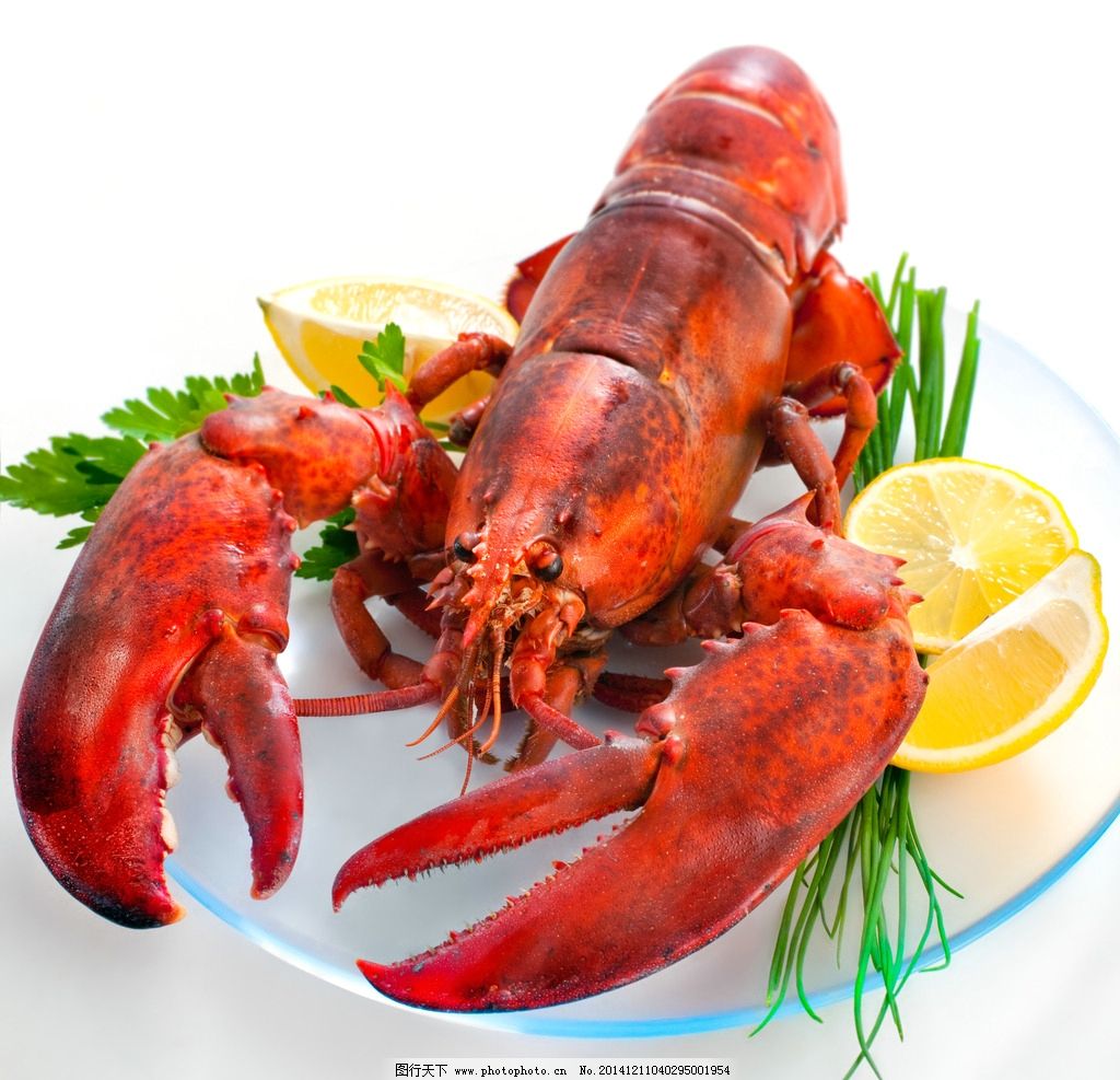 海洋生物海鲜龙虾图片_龙虾海鲜店门头_海鲜龙虾图片(2)