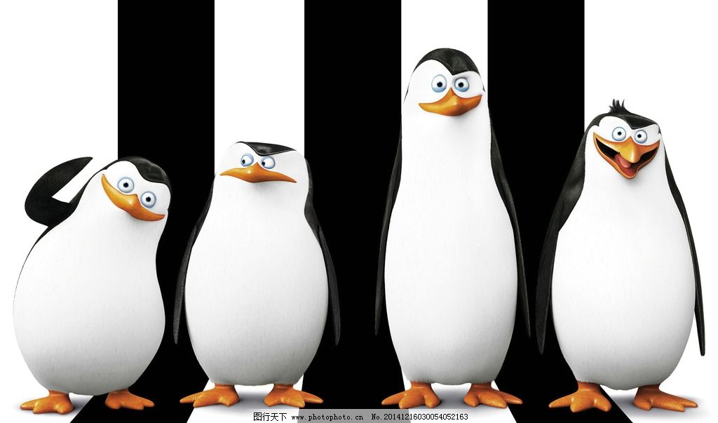 马达加斯加企鹅