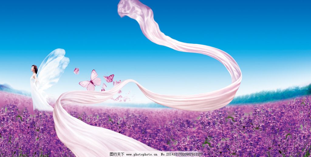 熏衣草美女背景高清图片