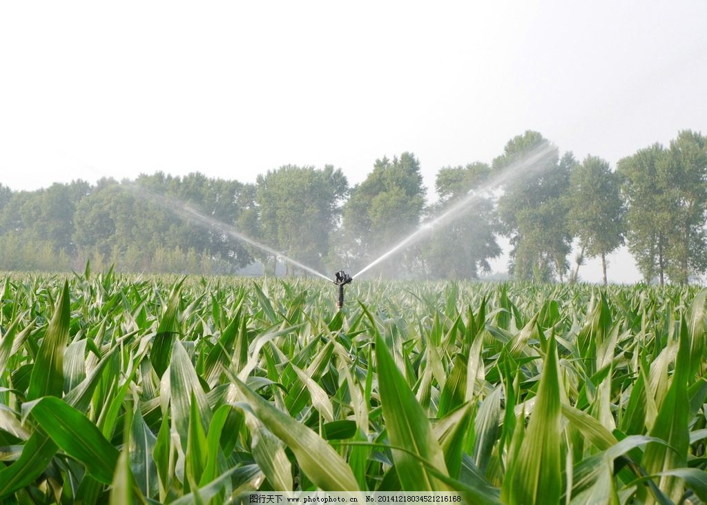农田灌溉图片