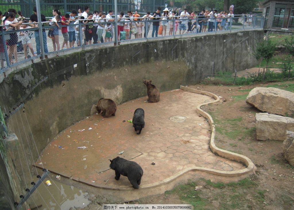 动物园,动物园风景,动物,小动物,动物风景,黑熊,熊,棕熊,熊窝,游客,自然风景,自然景观,大自然,,摄影,生物世界,野生动物,300DPI,JPG