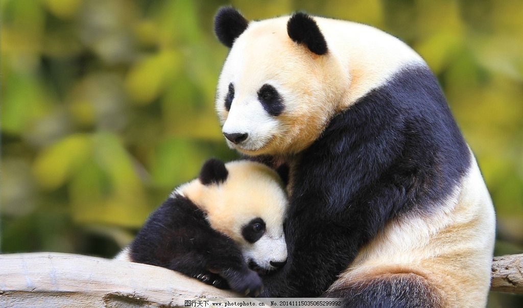 孩子性格叛逆厌学逃学怎么办