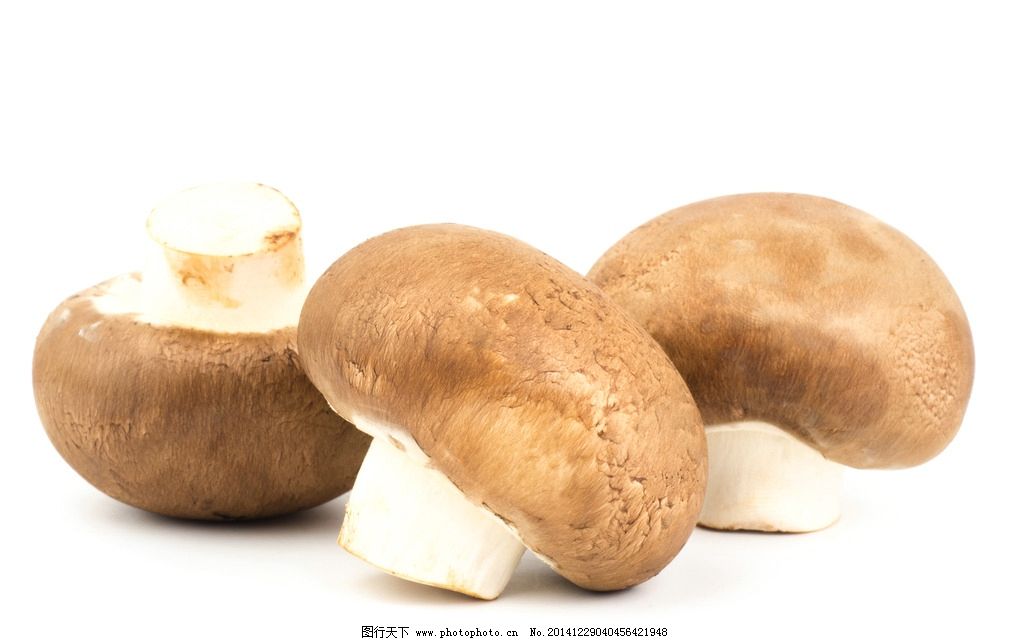 蘑菇 蔬菜 食用菌 香菇 美食 食材 鲜美 可口 新鲜 摄影 餐饮美食